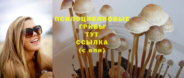 2c-b Зеленокумск