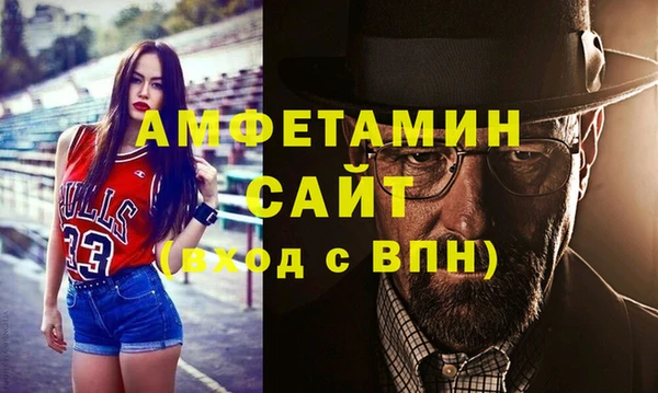 индика Заволжье