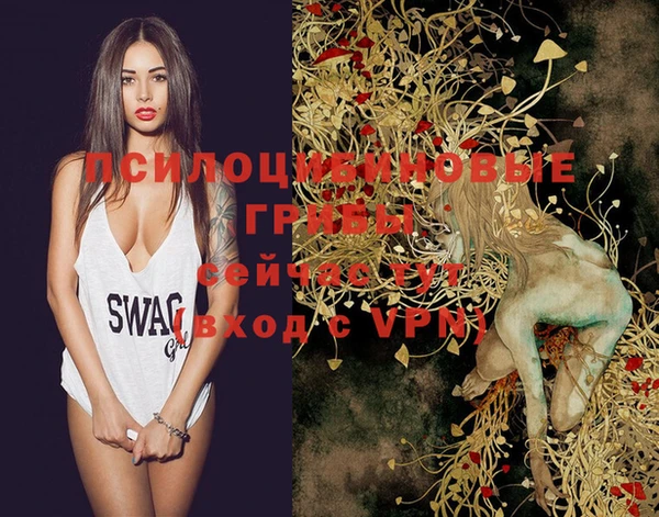 индика Заволжье