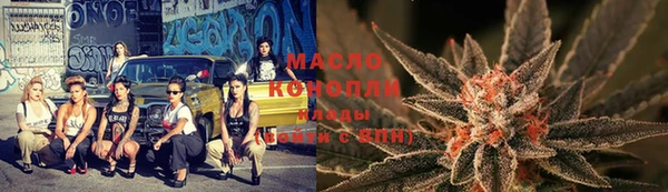 индика Заволжье