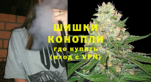 индика Заволжье