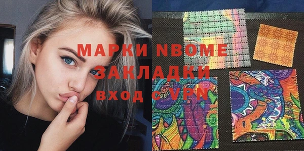 индика Заволжье
