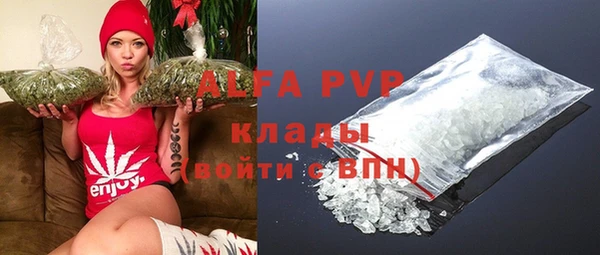 индика Заволжье