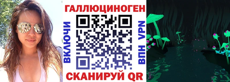 Купить где  Карталы  Псилоцибиновые грибы GOLDEN TEACHER 